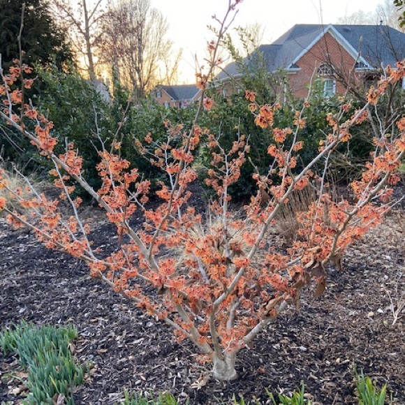 Meet your Posher, Meg - Picture 4 of 7